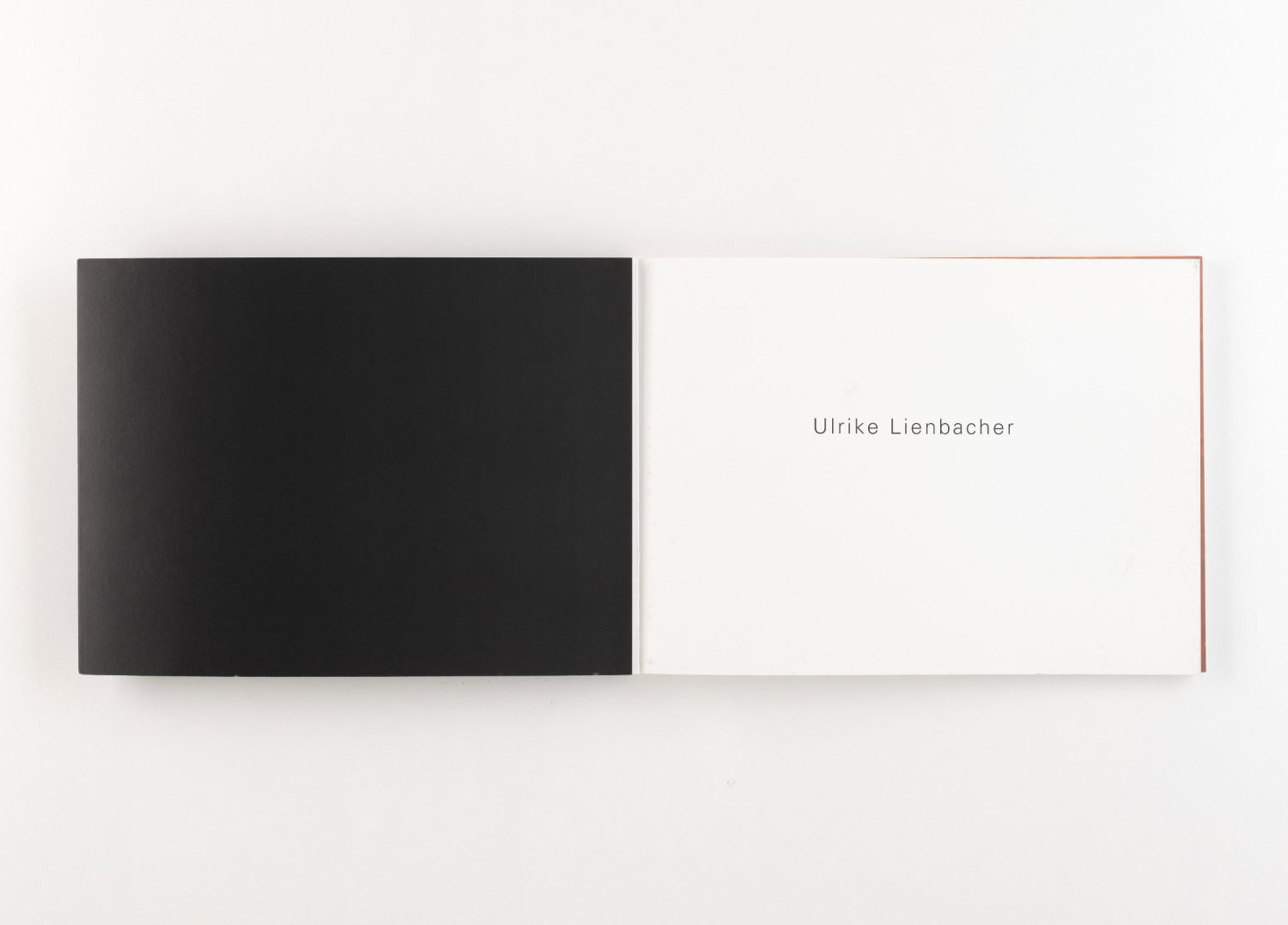 UL Ulrike Lienbacher KV 02 aff