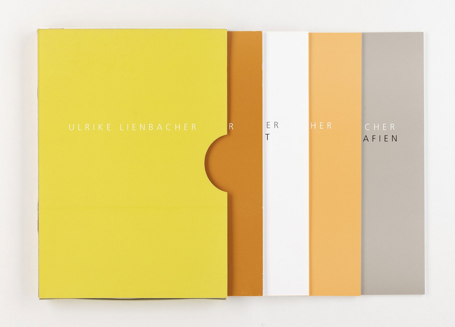 UL Ulrike Lienbacher 03 webhel2