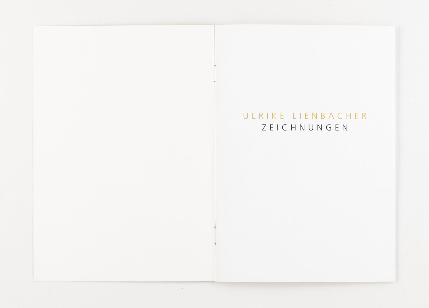 UL Ulrike Lienbacher 12 web