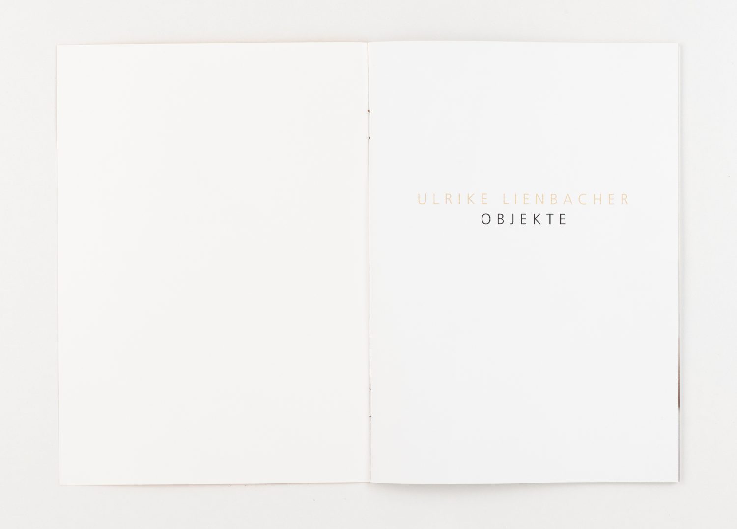 UL Ulrike Lienbacher 15 web